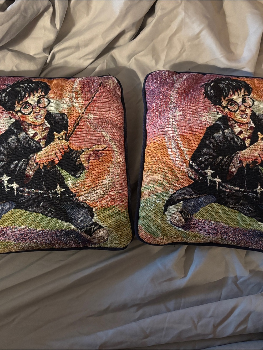 Harry Potter Tapestry Throw Pillow Pair - Colorful Magic Illustration 12” x 12”